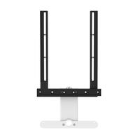 TV WALL MOUNT RAY